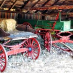 Wagons