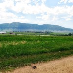 Mountains