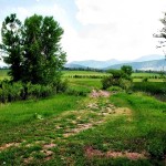 Path