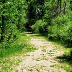 Path 2
