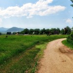 Path 3