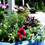 Flower pot