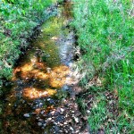 Stream 2
