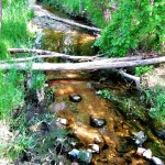 Stream