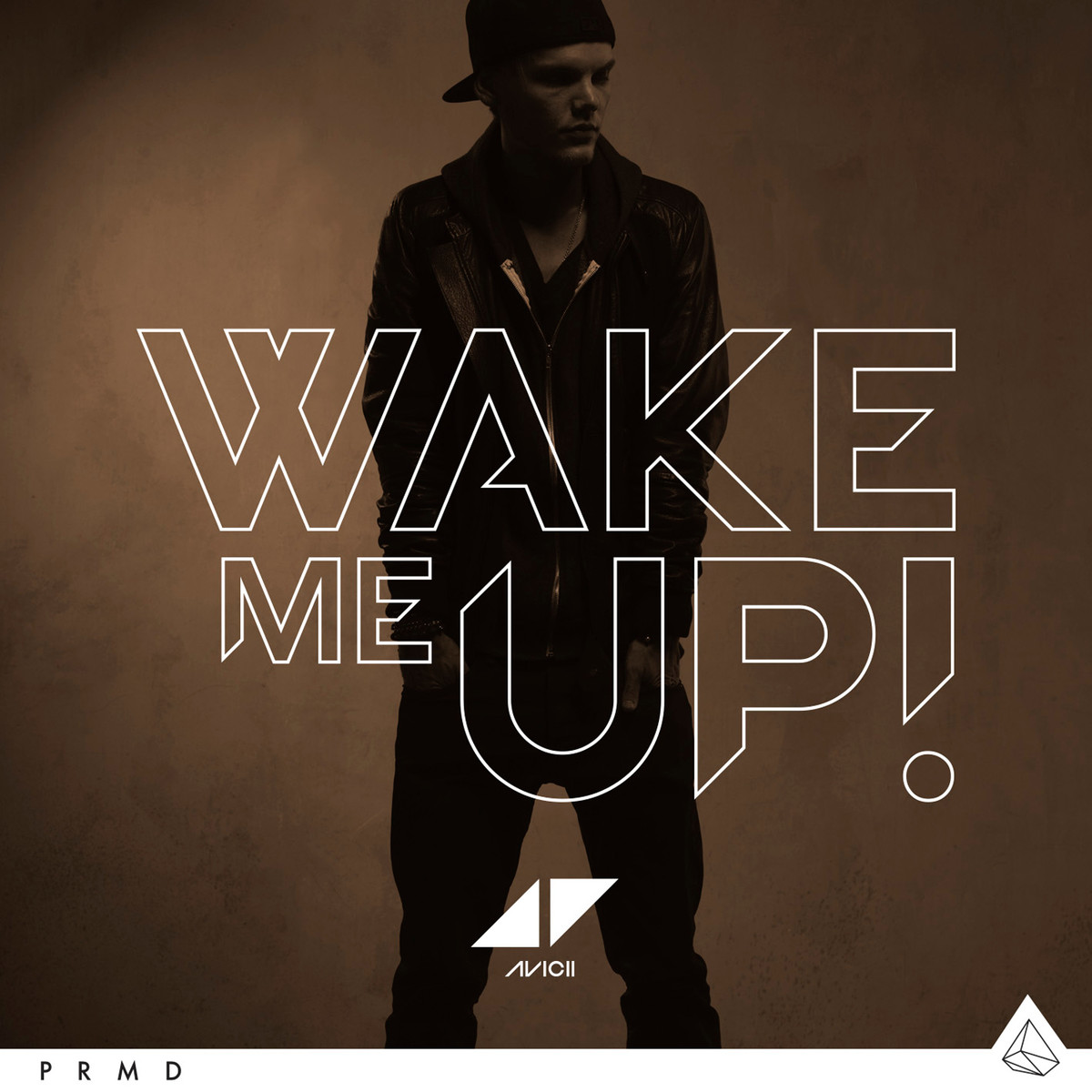 DAILY INSPIRATION: Wednesday Battle Cry- Wake Me Up by Avicii